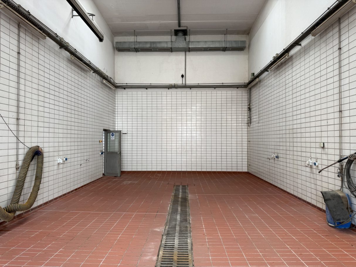 Grundreinigung der Waschhalle - nachher